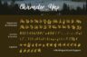 Gallery image item #12