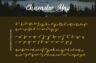 Gallery image item #13