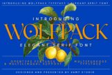 Product image of Wolfpack Elegant Stylish Serif