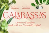 Product image of Calabassas Fresh Modern Serif