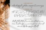 Gallery image item #5