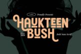 Product image of Haukteen Bush
