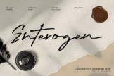 Product image of Enterogen: An Authentic Handwritten Signature