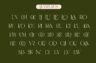 Gallery image item #10