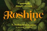 Product image of Roshine: A Modern Serif