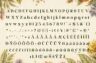 Gallery image item #12