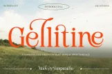 Product image of Gellitine: Sophisticated Display Serif